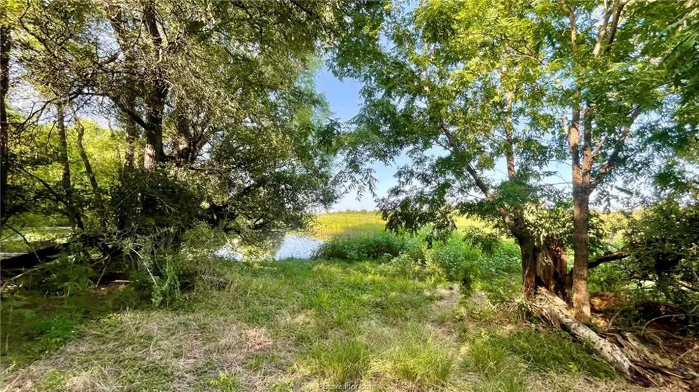 750 County Rd 206A (15.5 Acres) Cameron, TX 76520