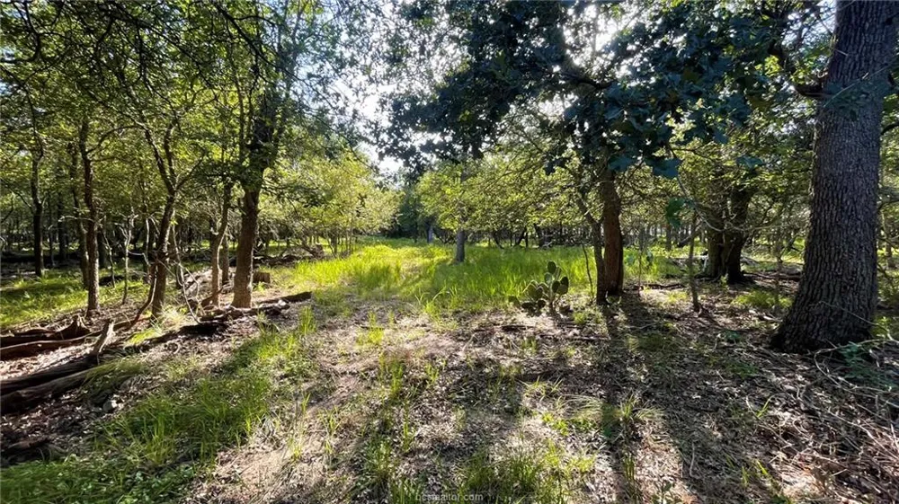750 County Rd 206A (15.5 Acres) Cameron, TX 76520