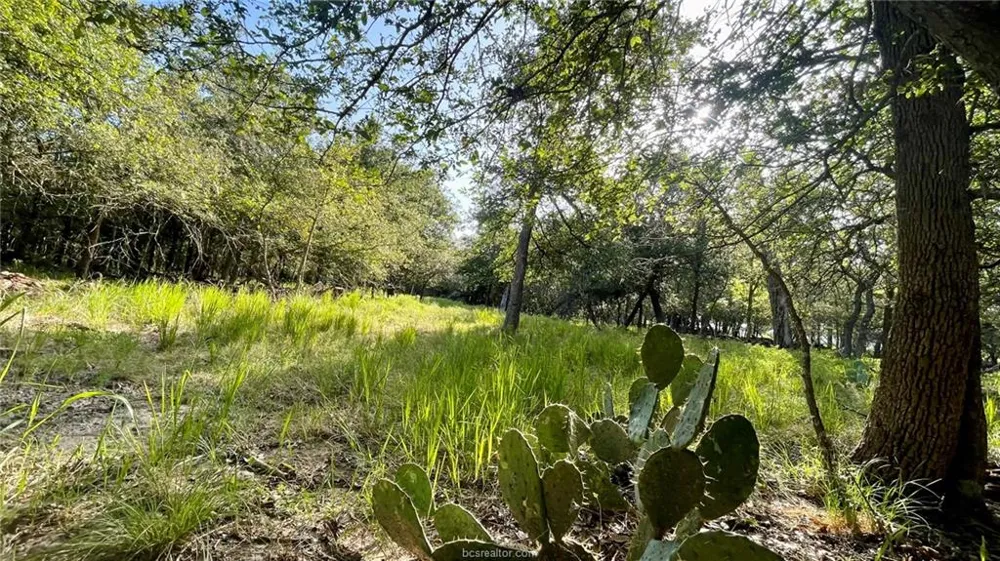 750 County Rd 206A (15.5 Acres) Cameron, TX 76520
