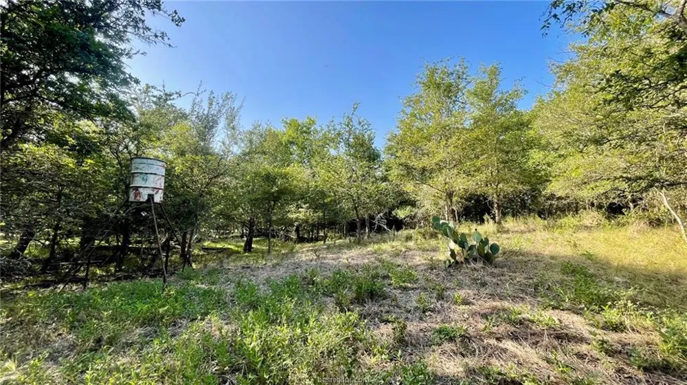750 County Rd 206A (15.5 Acres) Cameron, TX 76520