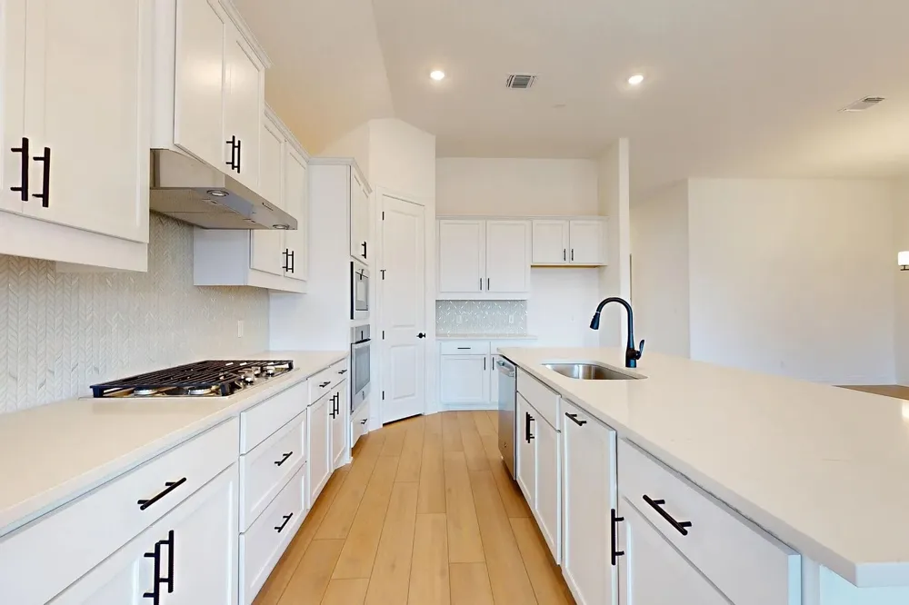 1208 White Daisy Lane Georgetown, TX 78628