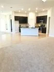 1108 Laceflower Lane Leander, TX 78641
