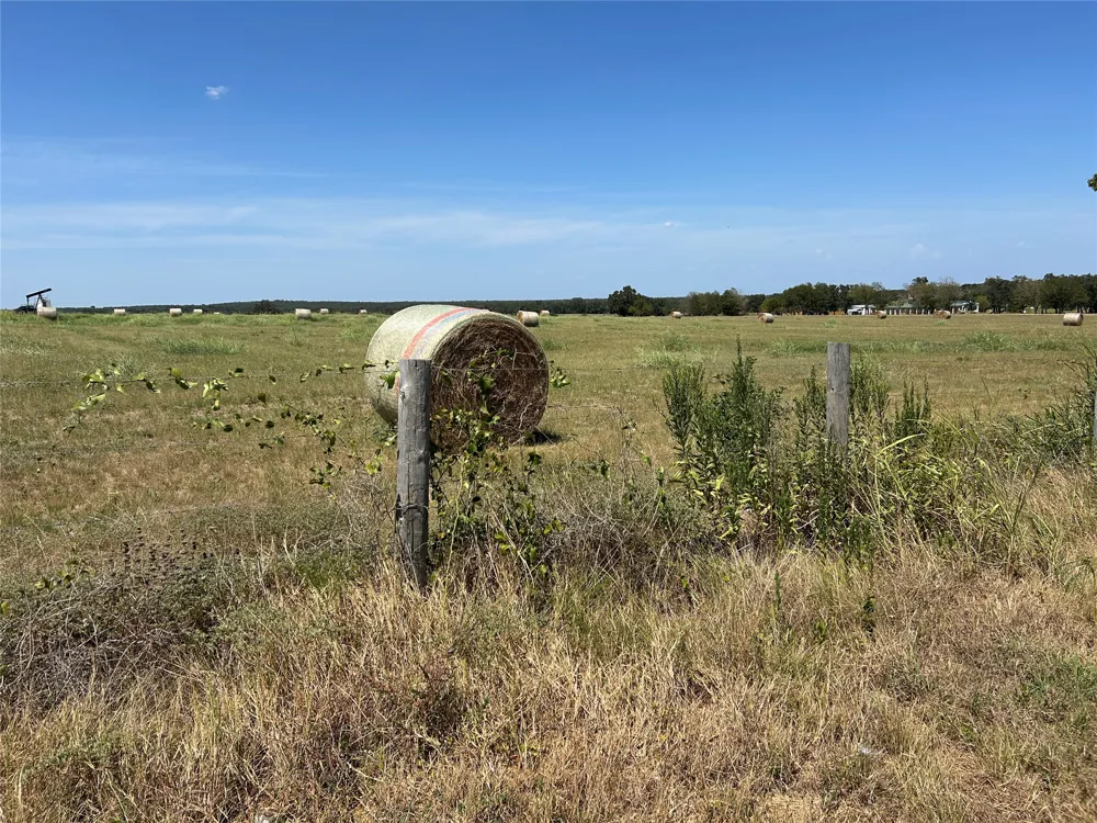 E SH 21 Highway Paige, TX 78659