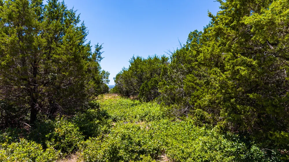 64 Blakley Road Gatesville, TX 76528