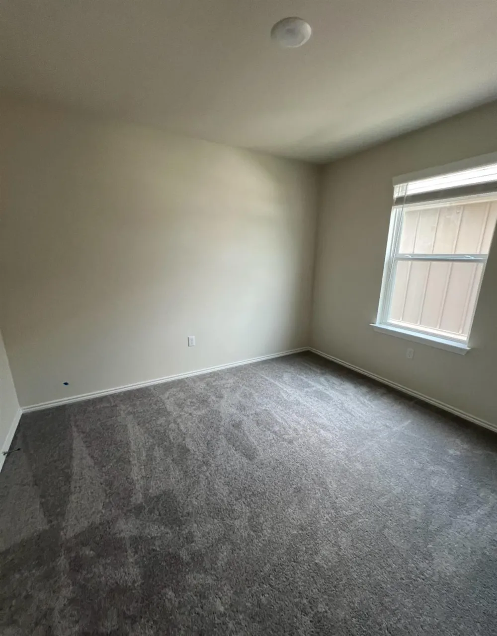 499 Tree Nut Loop Buda, TX 78610