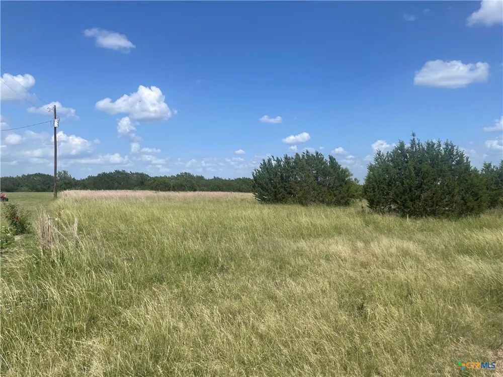 9 Misty Woods Bertram, TX 78605