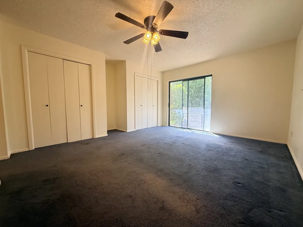 109 Pine Cone Lane Elgin, TX 78621