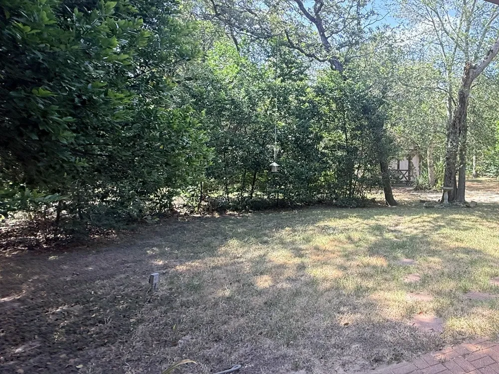 109 Pine Cone Lane Elgin, TX 78621