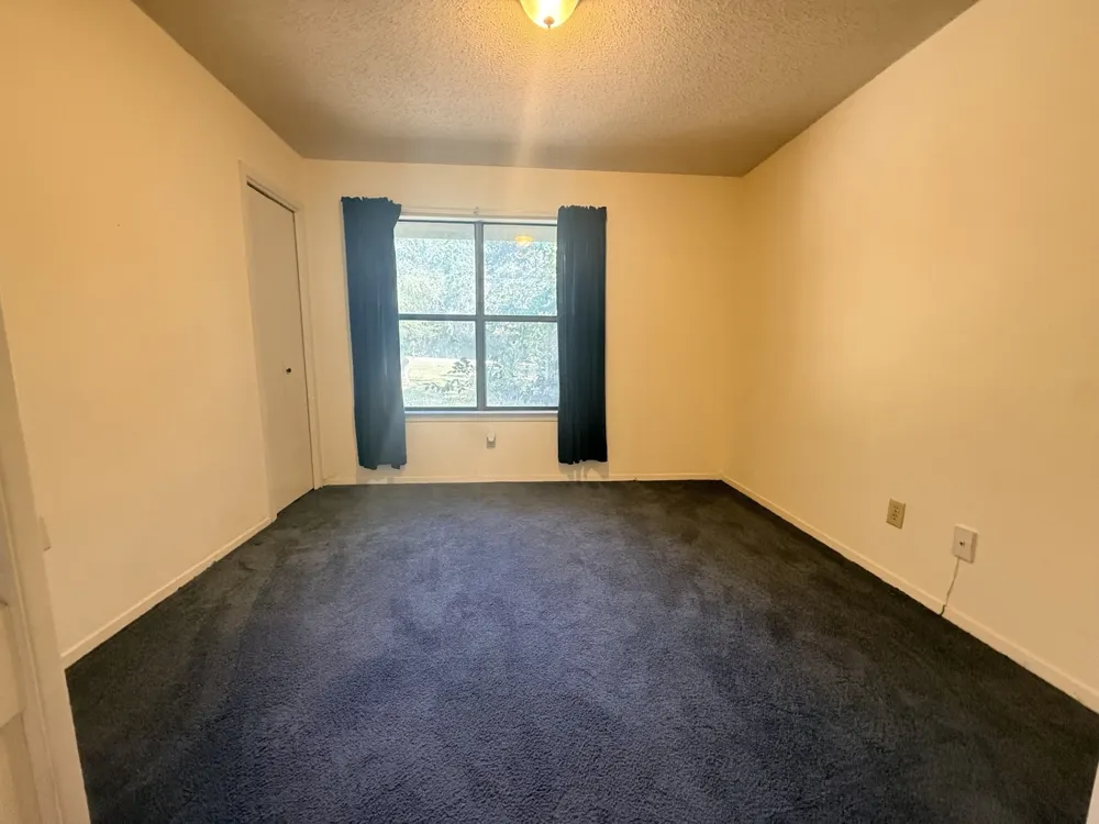 109 Pine Cone Lane Elgin, TX 78621