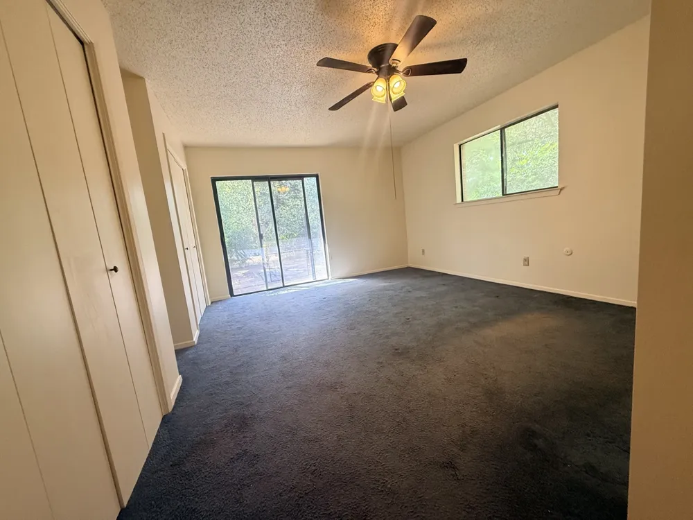 109 Pine Cone Lane Elgin, TX 78621