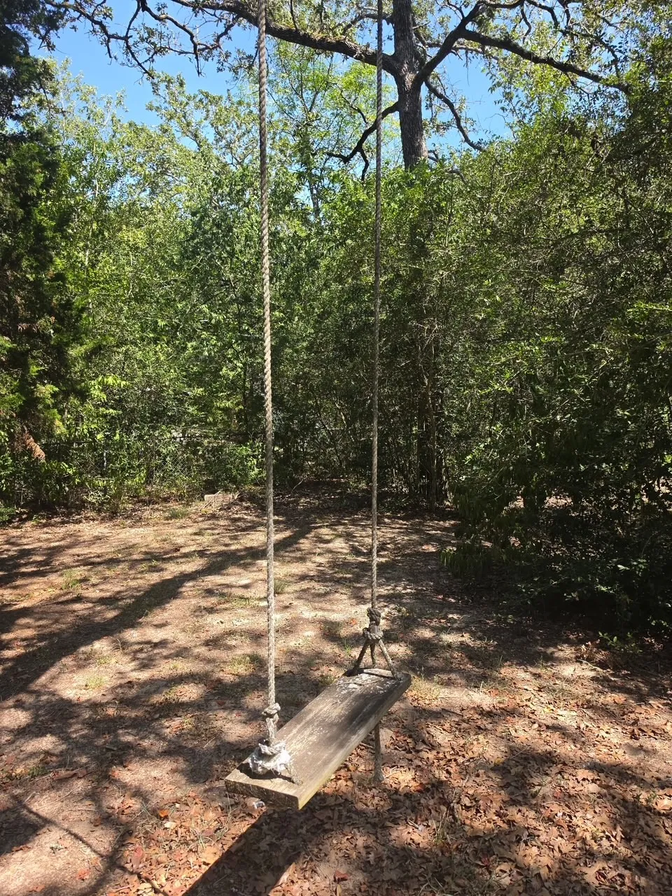 109 Pine Cone Lane Elgin, TX 78621