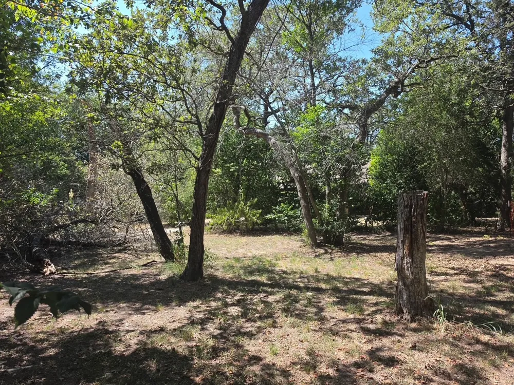 109 Pine Cone Lane Elgin, TX 78621