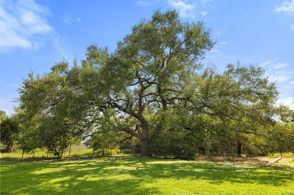 10183 Brangus Road Driftwood, TX 78619