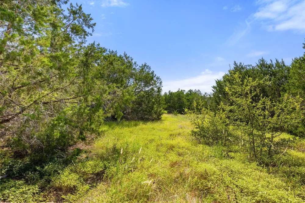 10183 Brangus Road Driftwood, TX 78619