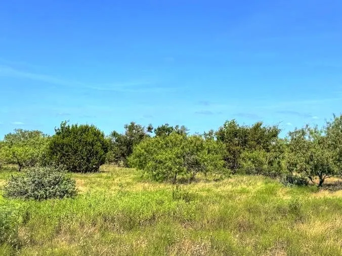 1 US Hwy 190 Highway Lometa, TX 78853
