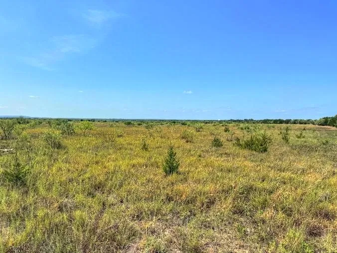 1 US Hwy 190 Highway Lometa, TX 78853