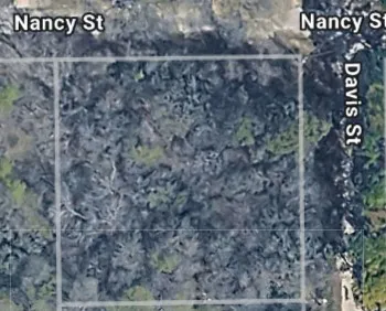 Nancy  / Davis Street