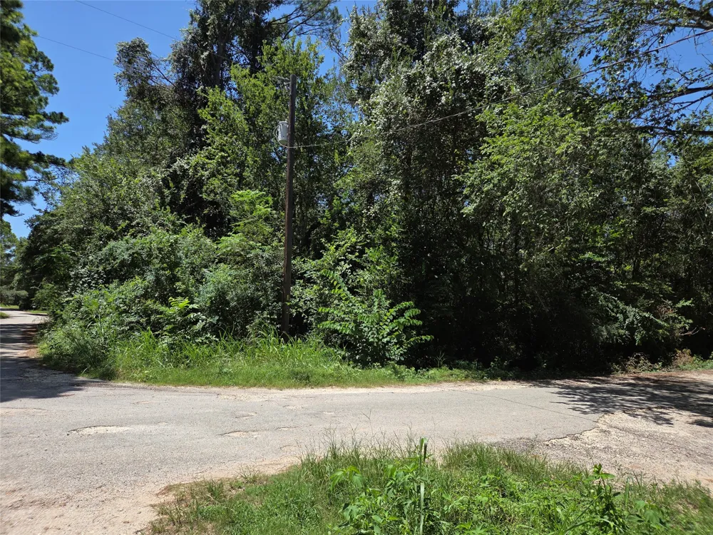 Nancy  / Davis Street Bastrop, TX 78602