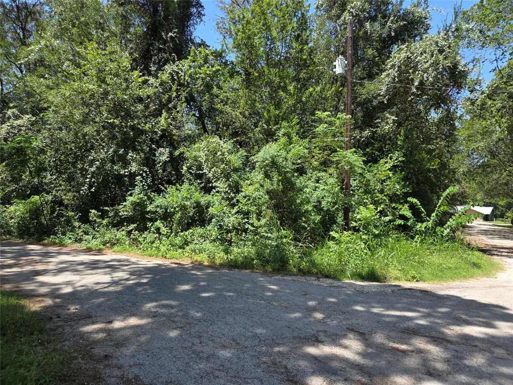 Nancy  / Davis Street Bastrop, TX 78602