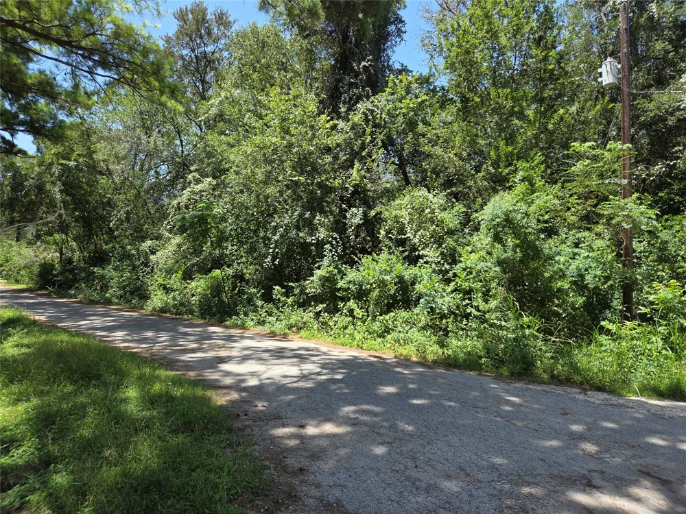 Nancy  / Davis Street Bastrop, TX 78602