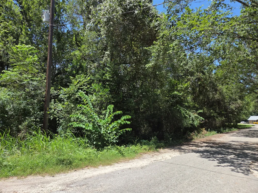 Nancy  / Davis Street Bastrop, TX 78602