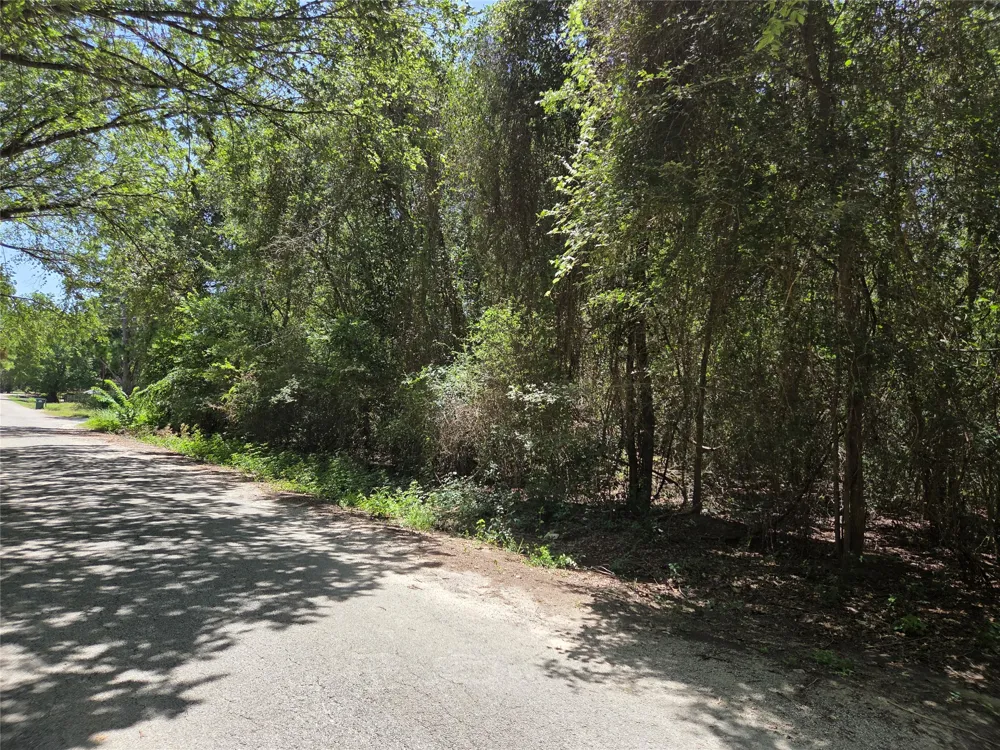 Nancy  / Davis Street Bastrop, TX 78602