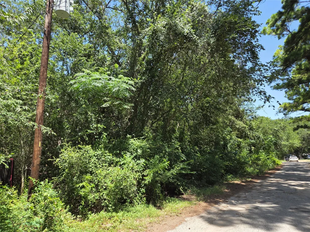 Nancy  / Davis Street Bastrop, TX 78602
