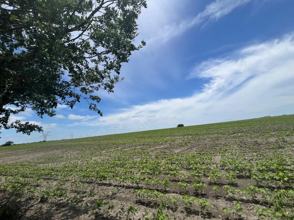 65 CR 327 ROAD Granger, TX 76530