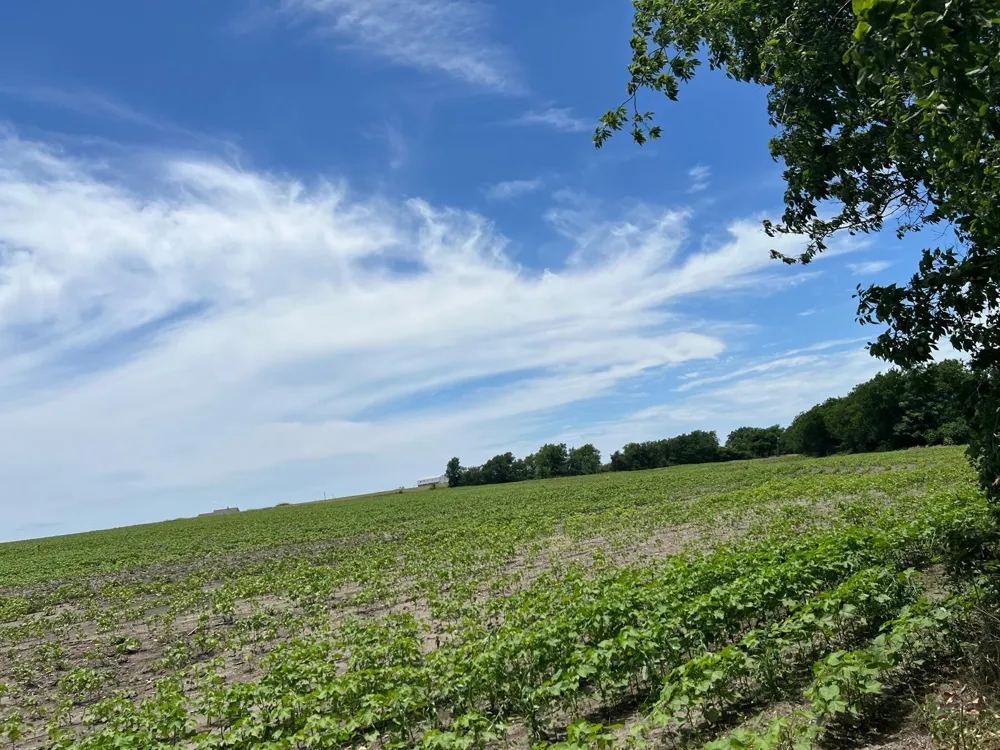 65 CR 327 ROAD Granger, TX 76530