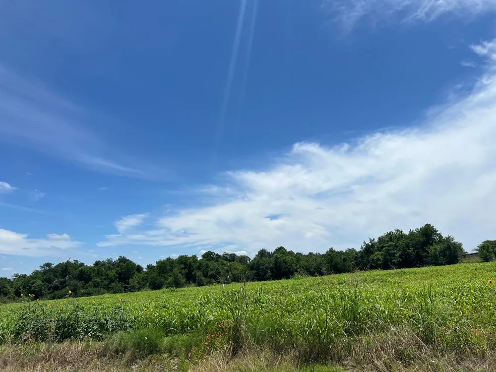 65 CR 327 ROAD Granger, TX 76530