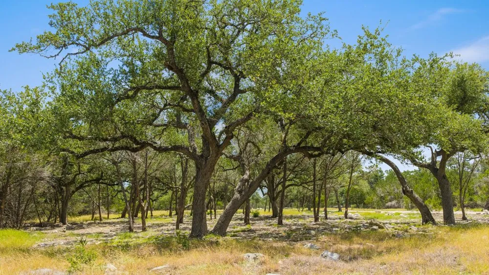 5 Cypress Cove Road Spring Branch, TX 78070