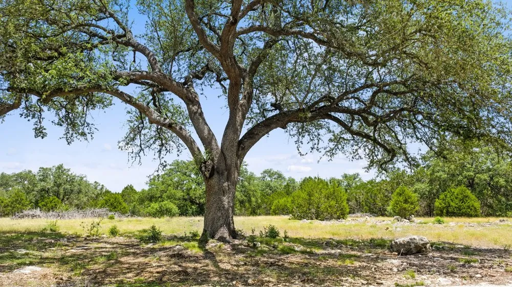 5 Cypress Cove Road Spring Branch, TX 78070
