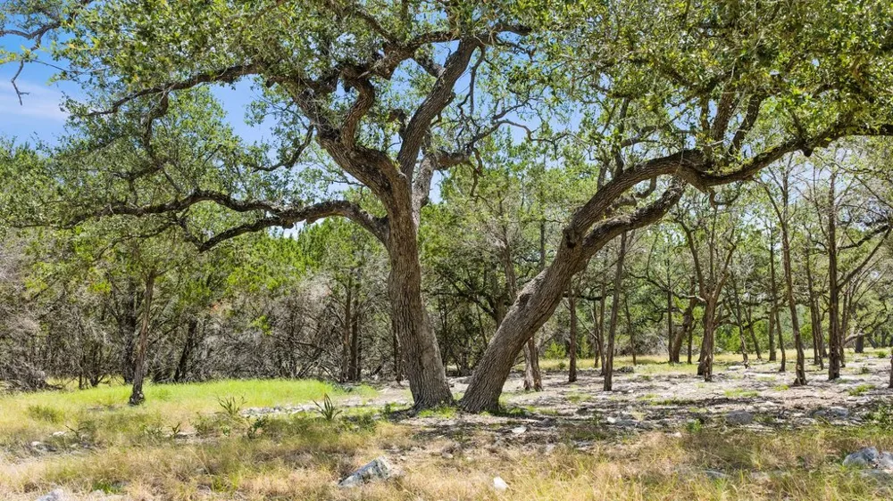 5 Cypress Cove Road Spring Branch, TX 78070