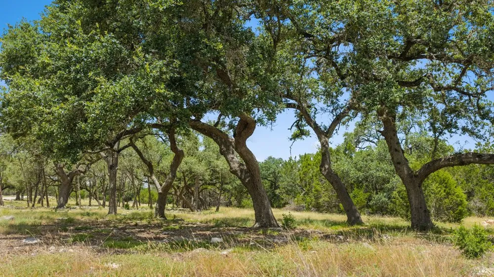 5 Cypress Cove Road Spring Branch, TX 78070