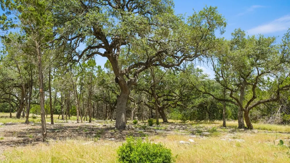5 Cypress Cove Road Spring Branch, TX 78070