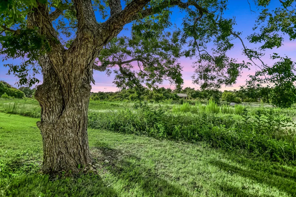 14100 Avery Ranch Boulevard #202 Austin, TX 78717