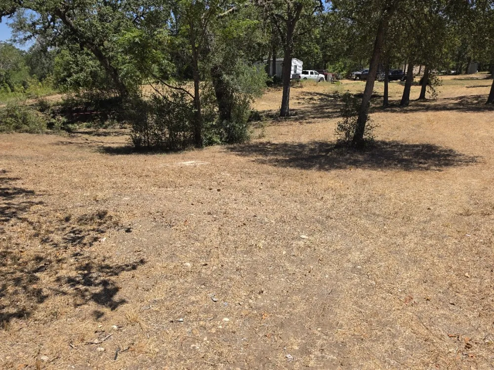 183 Wilbarger Cove Elgin, TX 78621