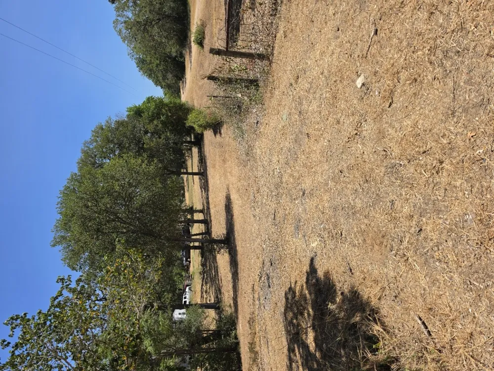 183 Wilbarger Cove Elgin, TX 78621