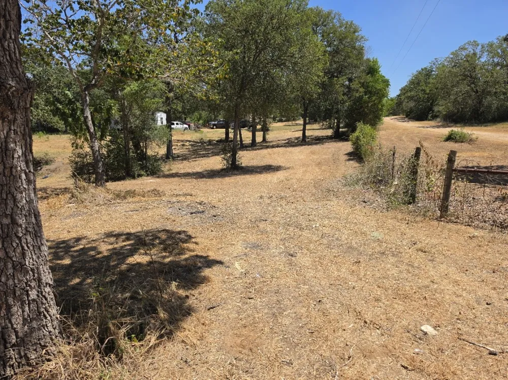 183 Wilbarger Cove Elgin, TX 78621