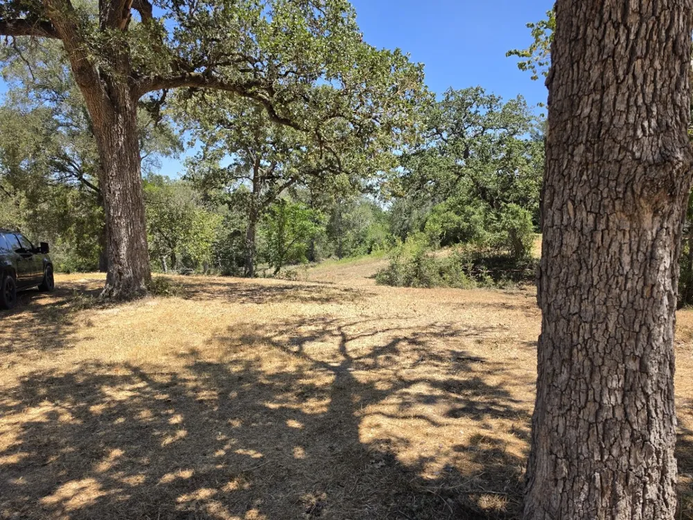 183 Wilbarger Cove Elgin, TX 78621