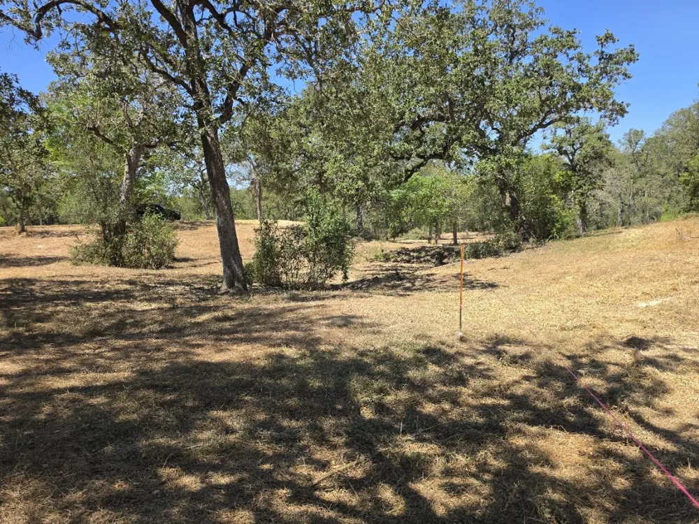 183 Wilbarger Cove Elgin, TX 78621