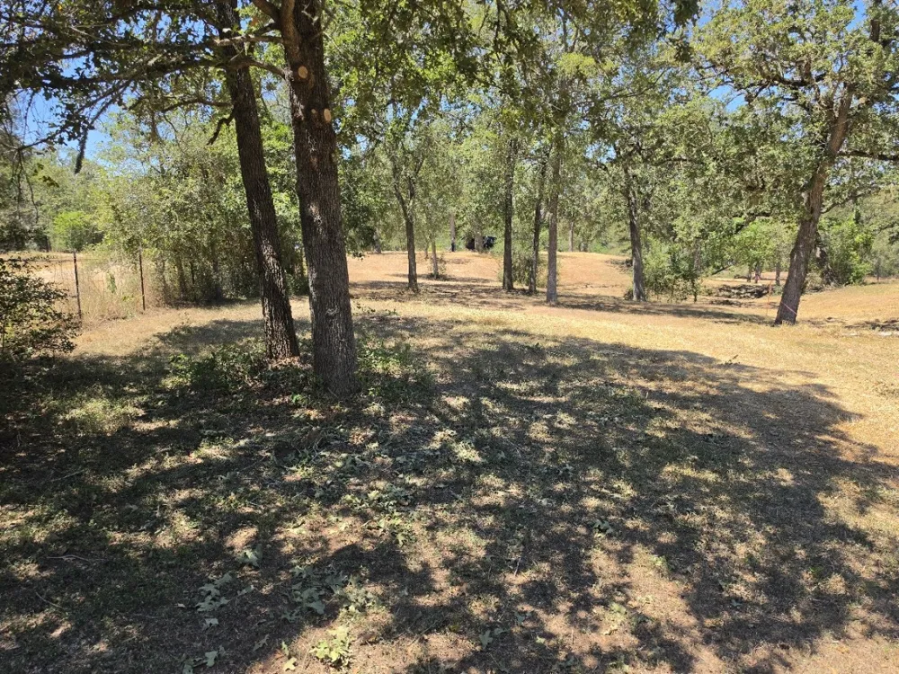 183 Wilbarger Cove Elgin, TX 78621