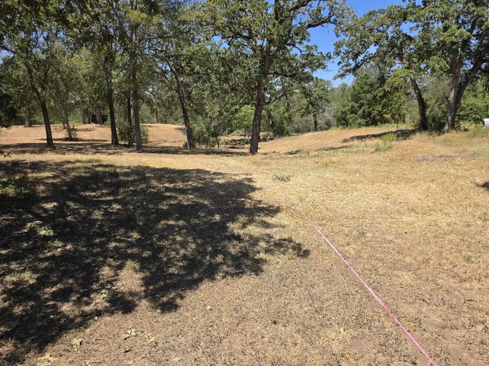 183 Wilbarger Cove Elgin, TX 78621