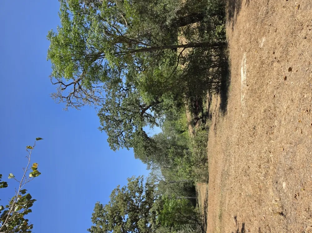 183 Wilbarger Cove Elgin, TX 78621