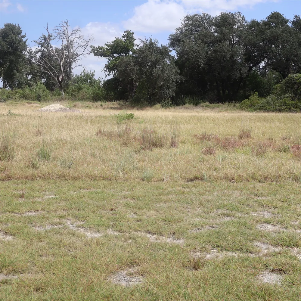 701 Rawhide Lane Florence, TX 76527