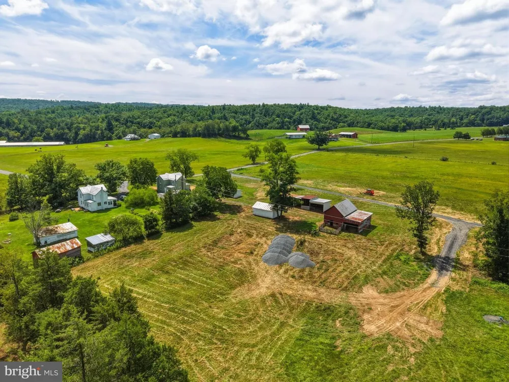 6117 ALUM SPRINGS ROAD Edinburg, VA 22824