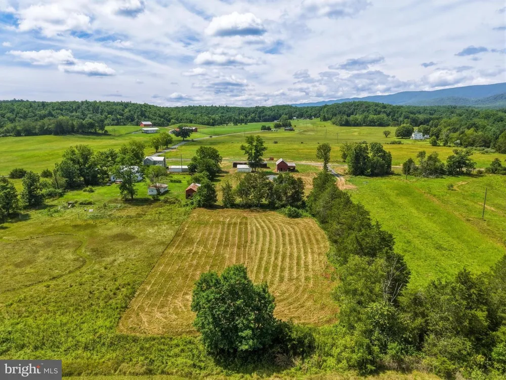 6117 ALUM SPRINGS ROAD Edinburg, VA 22824