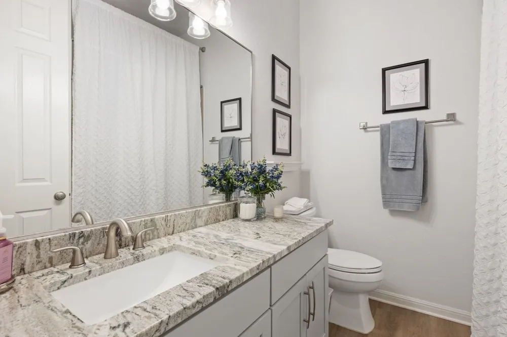 5301 Cardinal Flower Cove Spicewood, TX 78669