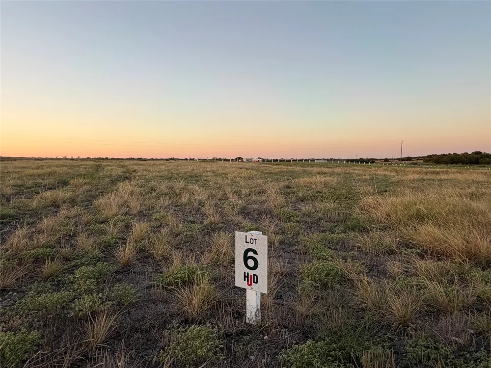 221 Tigerlily Way Thrall, TX 76578