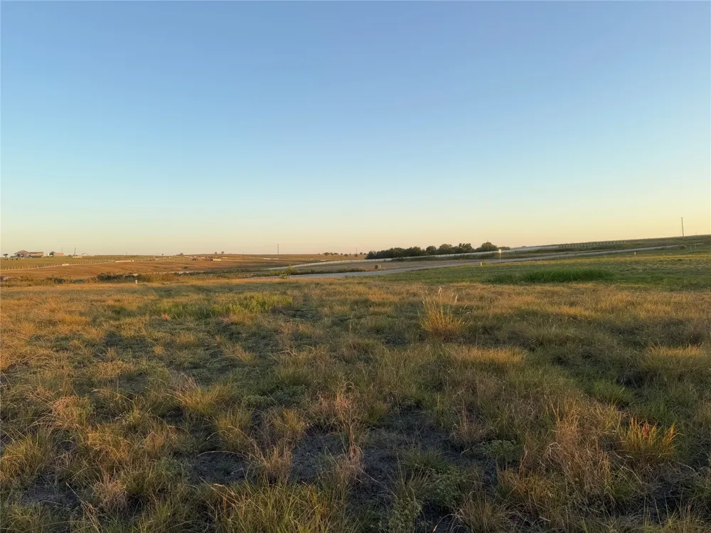 221 Tigerlily Way Thrall, TX 76578